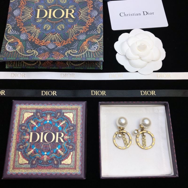 Christian Dior Earrings